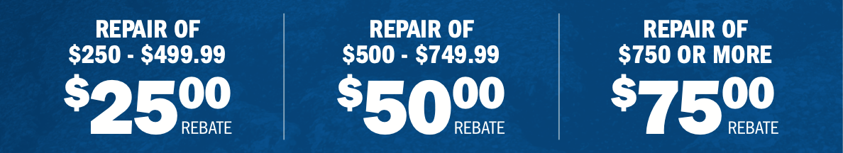 Rebate vouchers